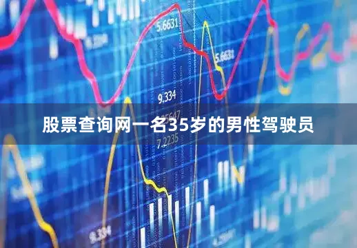 股票查询网一名35岁的男性驾驶员