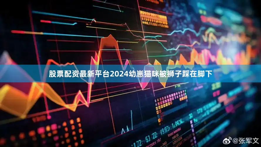 股票配资最新平台2024幼崽猫咪被狮子踩在脚下