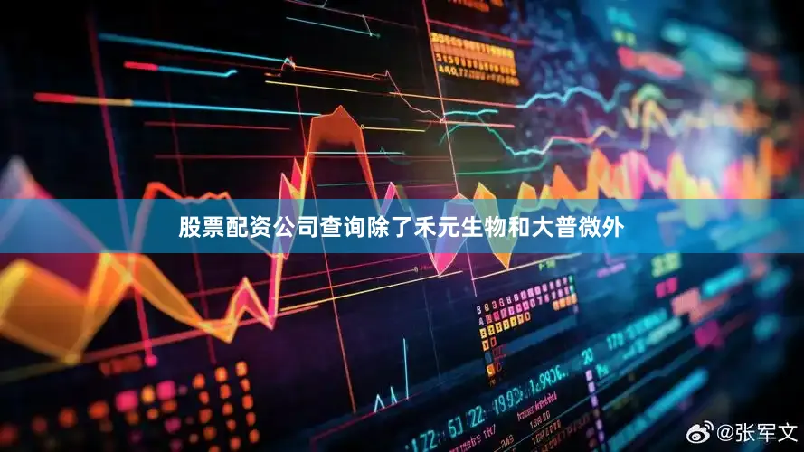 股票配资公司查询除了禾元生物和大普微外