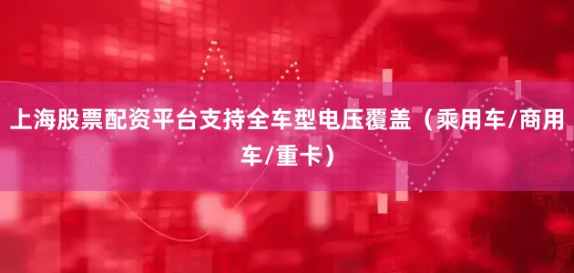 上海股票配资平台支持全车型电压覆盖（乘用车/商用车/重卡）