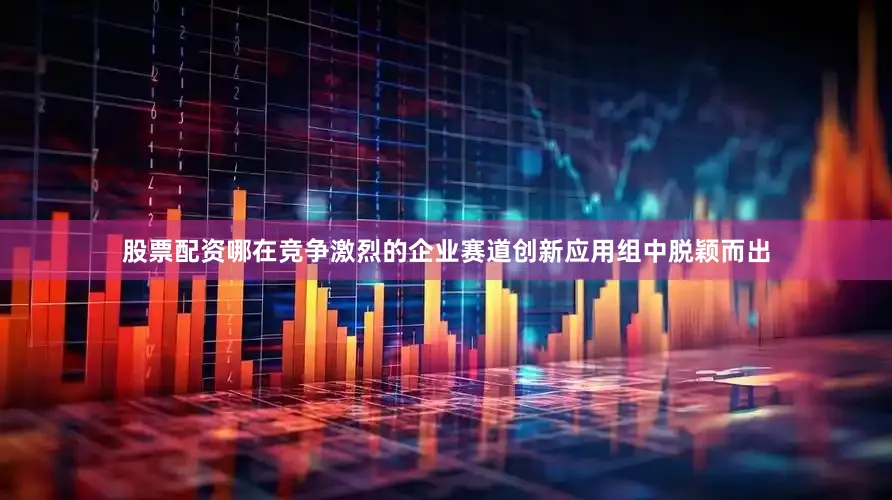 股票配资哪在竞争激烈的企业赛道创新应用组中脱颖而出