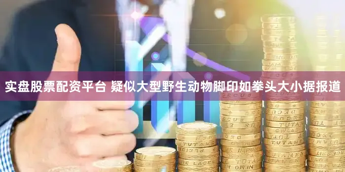 实盘股票配资平台 疑似大型野生动物脚印如拳头大小据报道