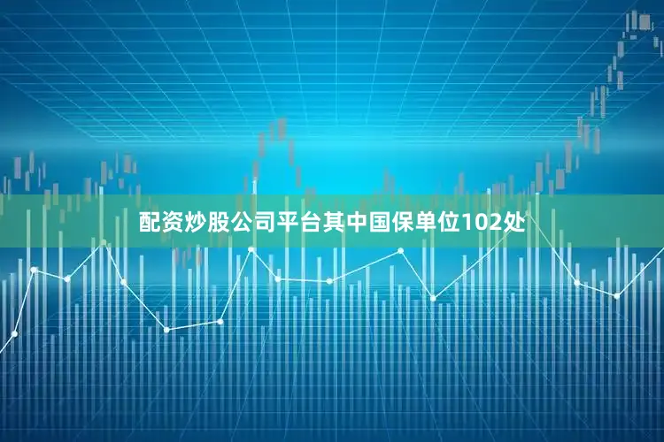 配资炒股公司平台其中国保单位102处
