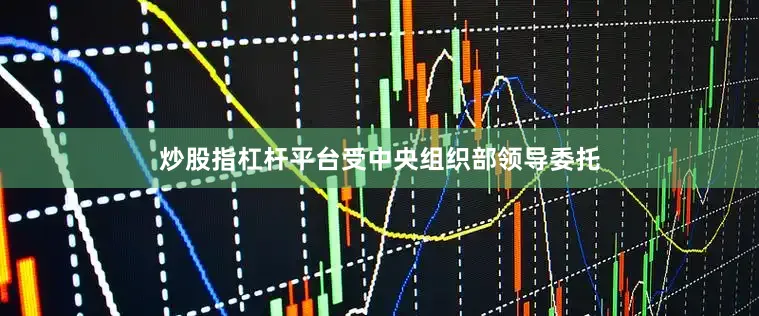 炒股指杠杆平台受中央组织部领导委托